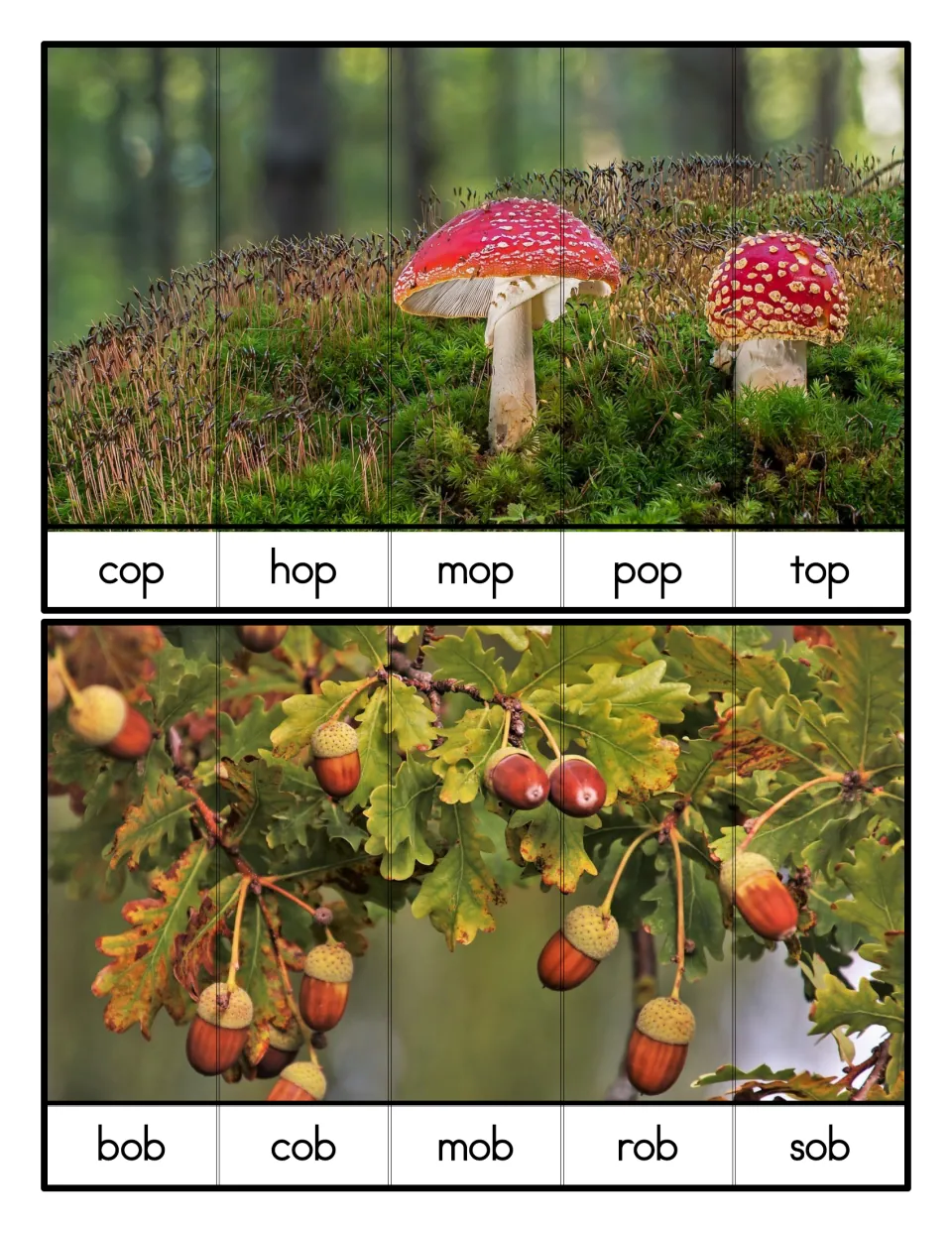 Five-piece puzzles for -op and -ob families: toadstools on moss read cop to top, acorns read bob, cob, mob, rob, sob