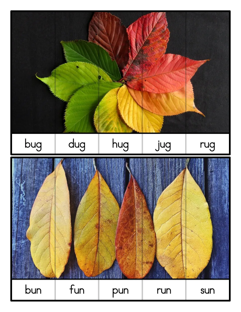 -ug and -un family alphabetical order: a colored leaf fan cut into bug to rug strips and four dry leaves into bun to sun