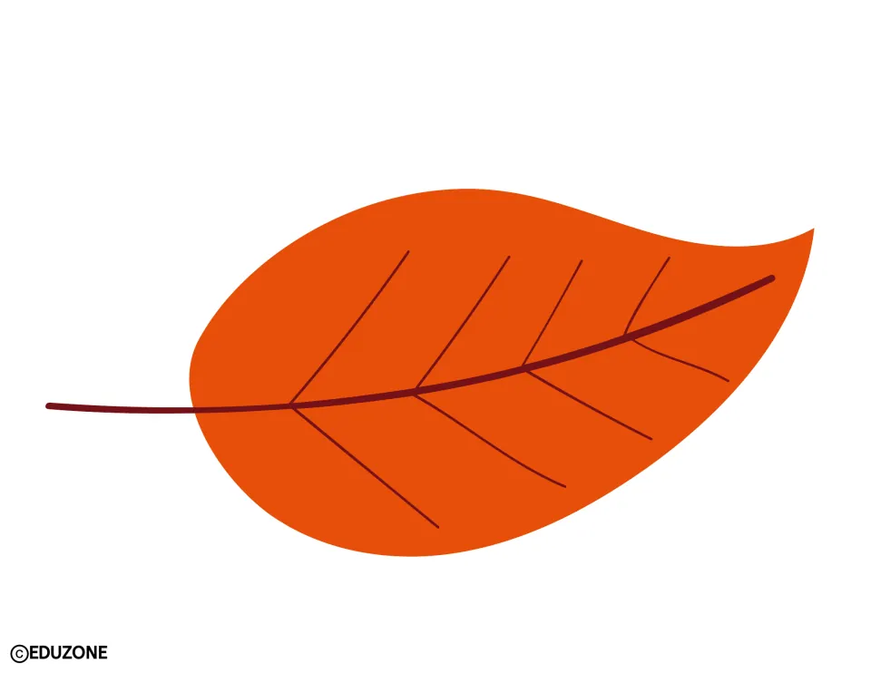 Fall leaf decoration: one large orange leaf with dark red veins, stem on the left and its pointed tip turning upward