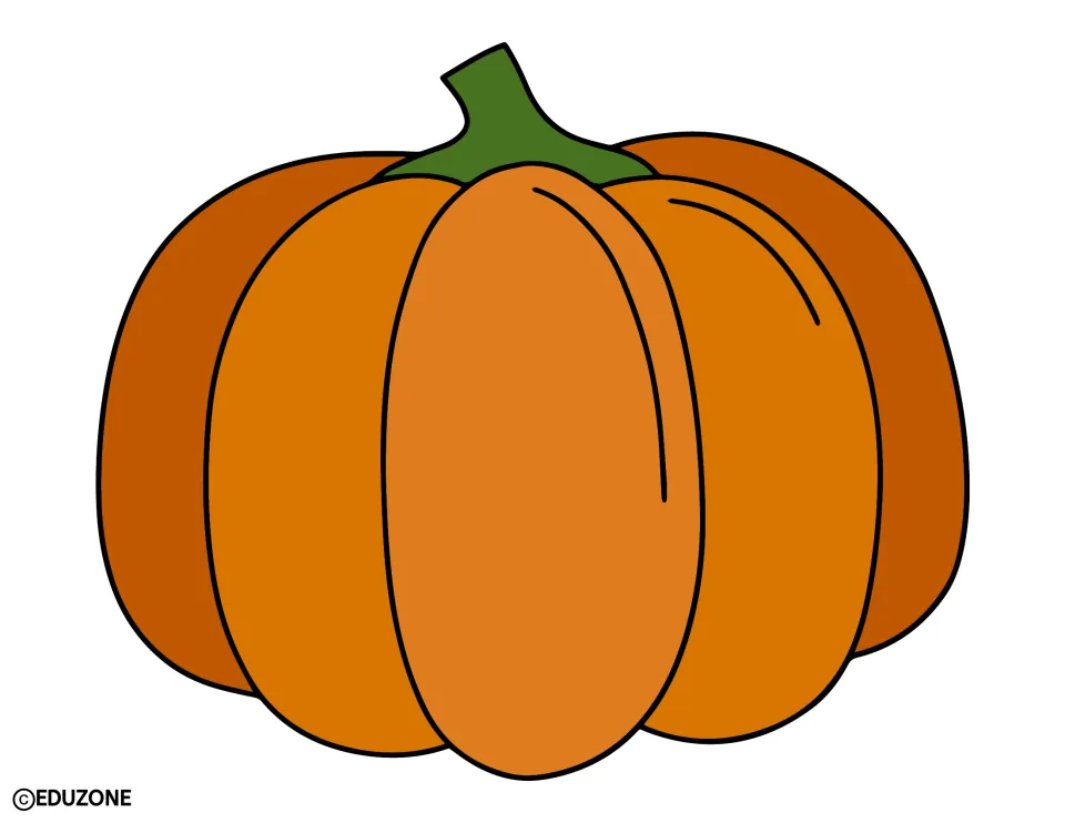 Pumpkin decoration: one large orange pumpkin with a green stem and black outline, shine marks on its right side
