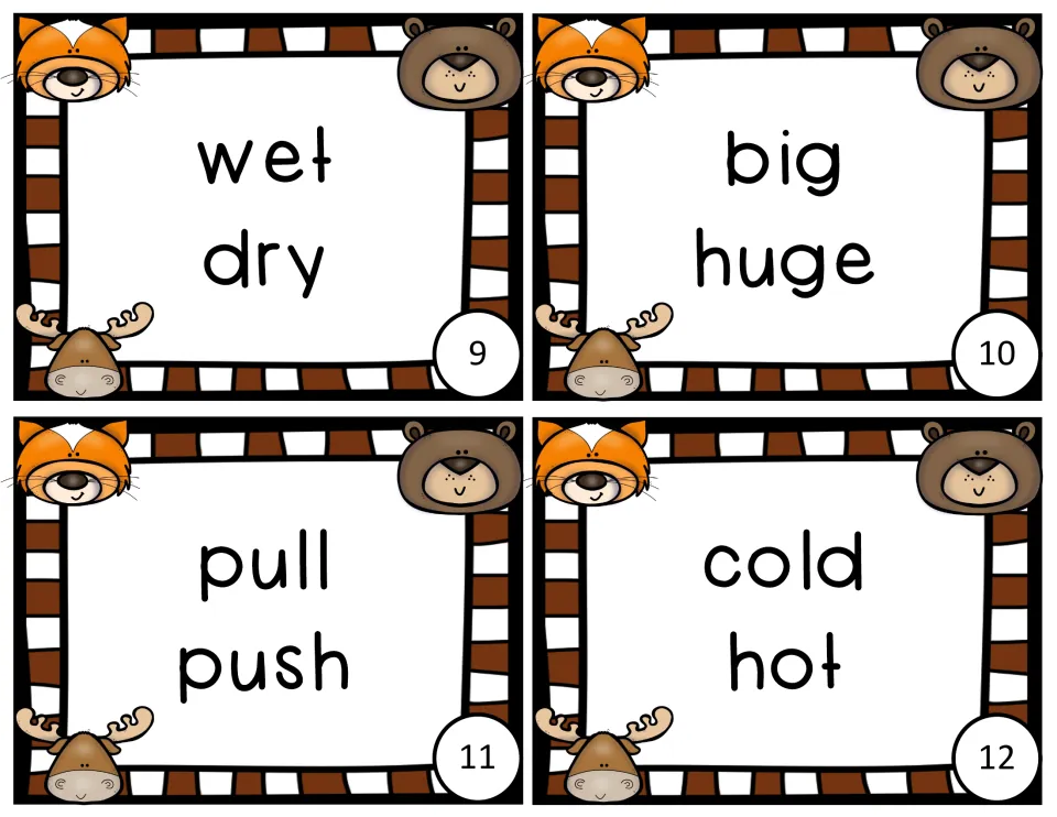Word-pair cards 9-12: students sort wet/dry, big/huge, pull/push and cold/hot as antonyms or synonyms