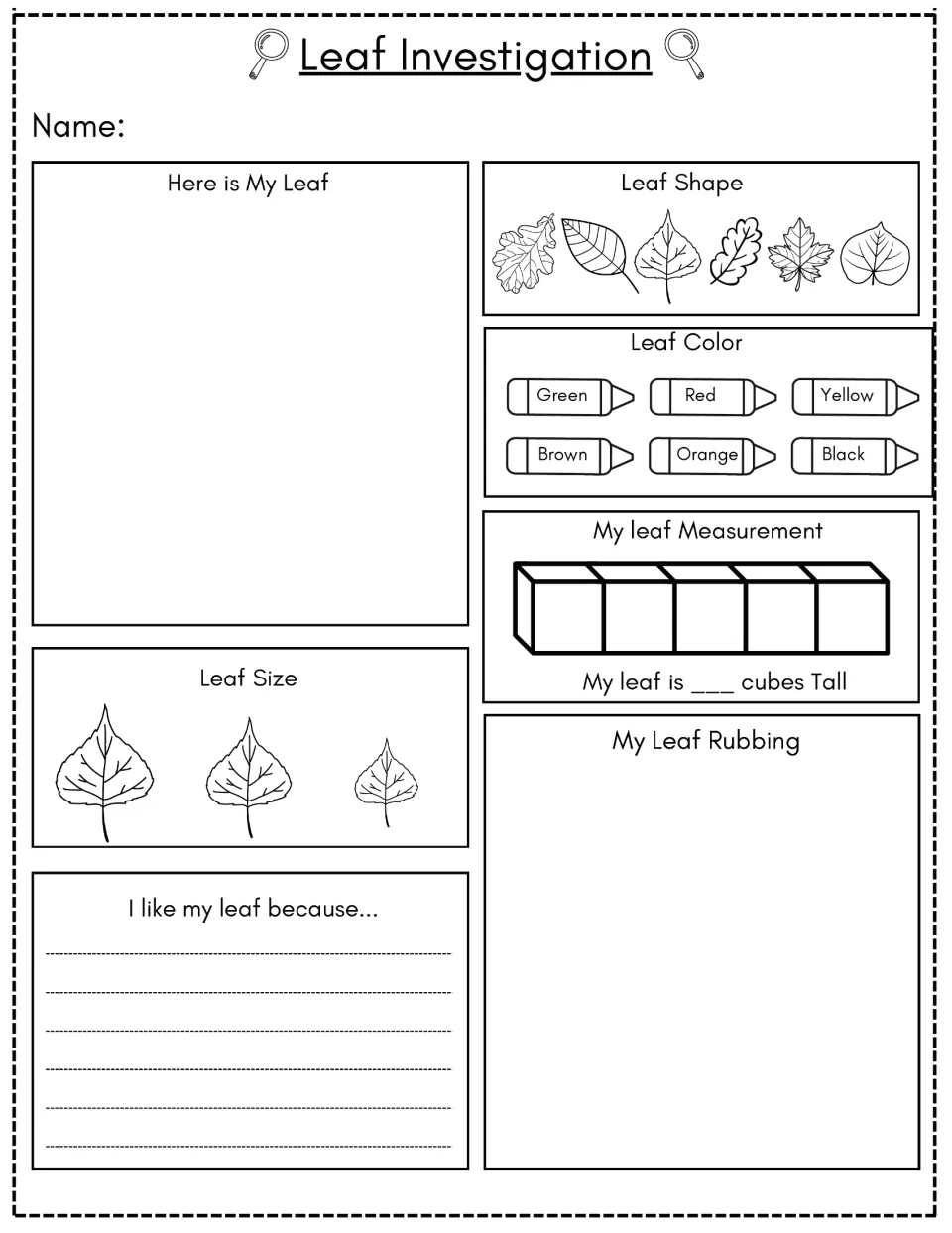 Leaf Investigation: students draw their leaf, mark its shape, color and size, measure it in cubes and make a rubbing