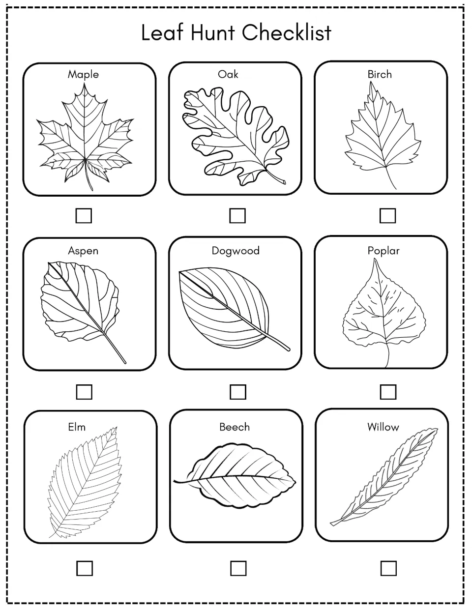 Leaf Hunt Checklist: students tick off maple, oak, birch, aspen, dogwood, poplar, elm, beech and willow leaves they find
