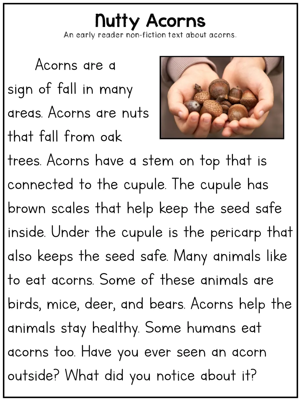 Acorns early reader article: students read about oak nuts, their parts, and animals that eat them, with a photo of acorns