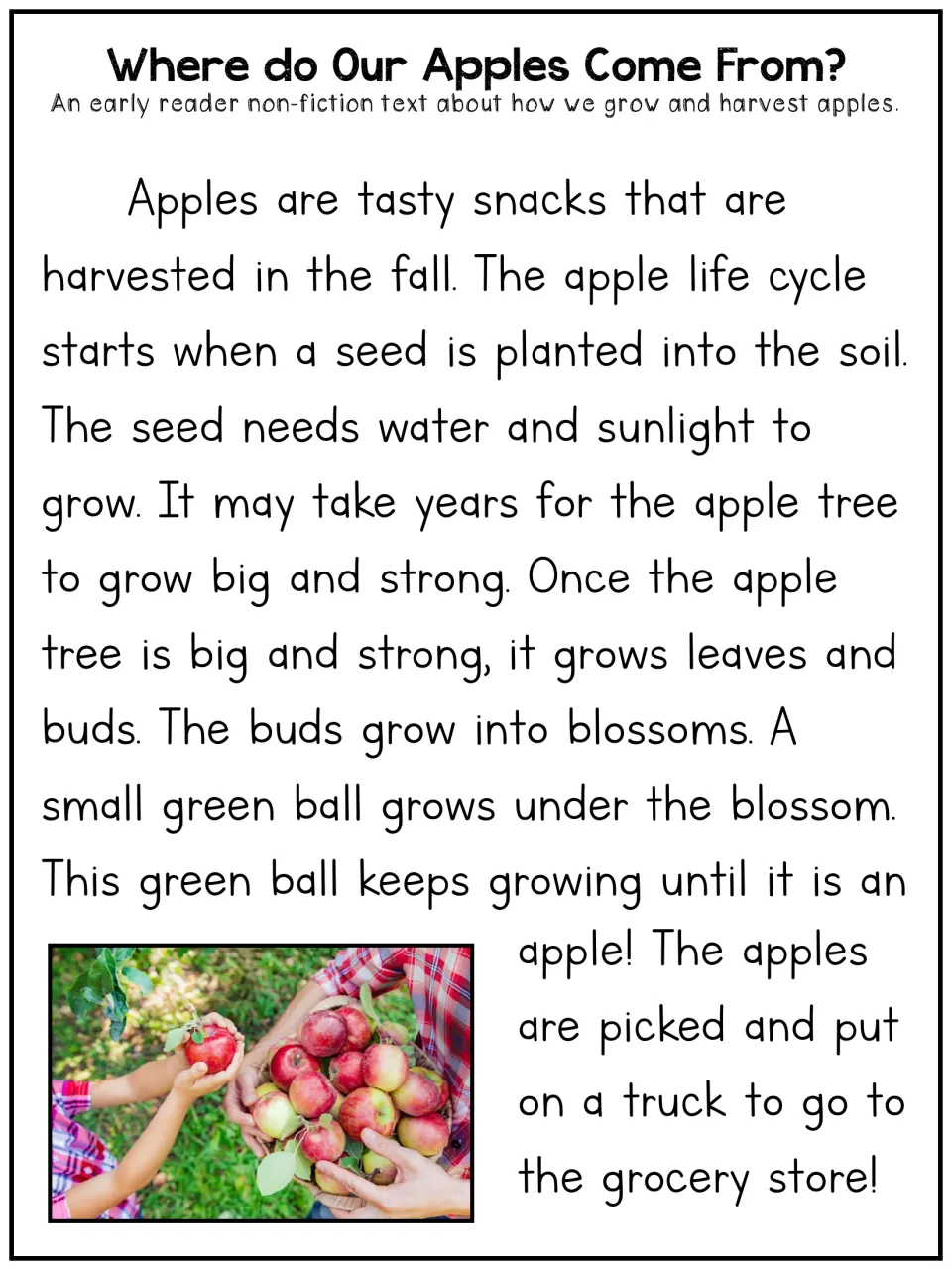 Apples early reader article: students read how an apple grows from seed to blossom to fruit and goes to the store
