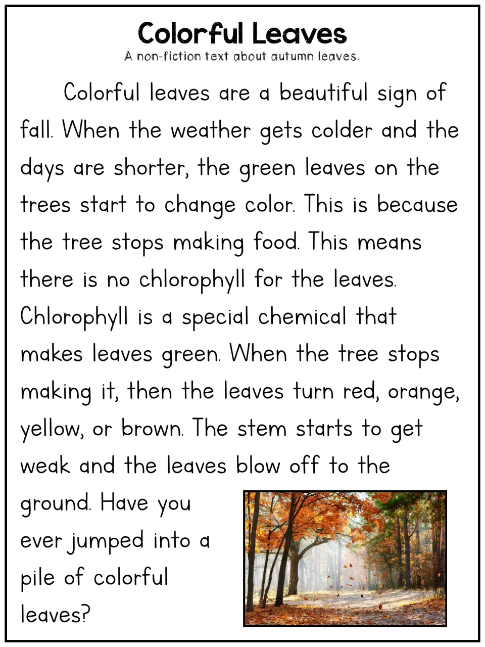 Autumn leaves article: students read why leaves change color when trees stop making chlorophyll, with a forest photo