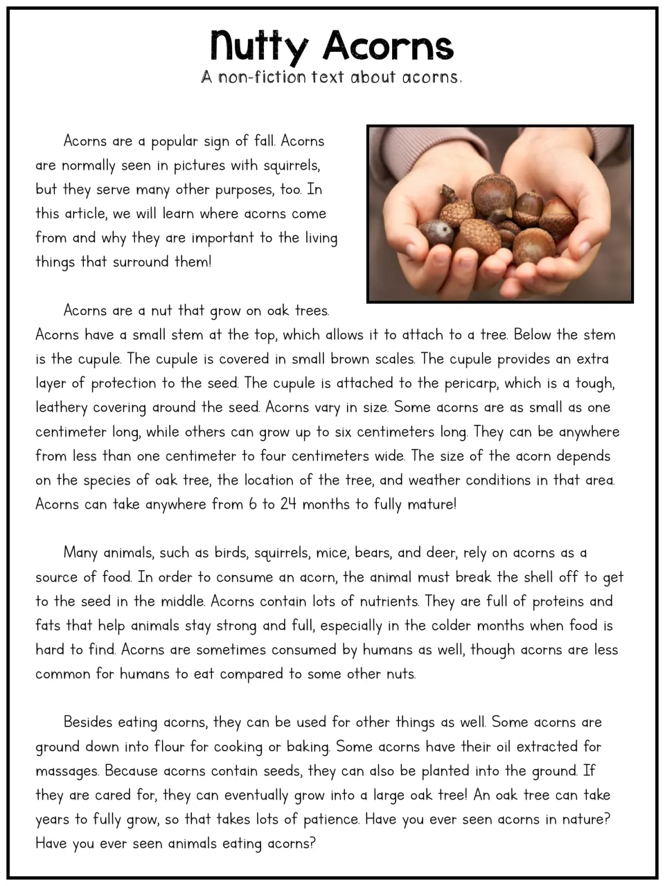Acorns article, longer version: students read about acorn parts, sizes, animals that eat them and other uses for acorns