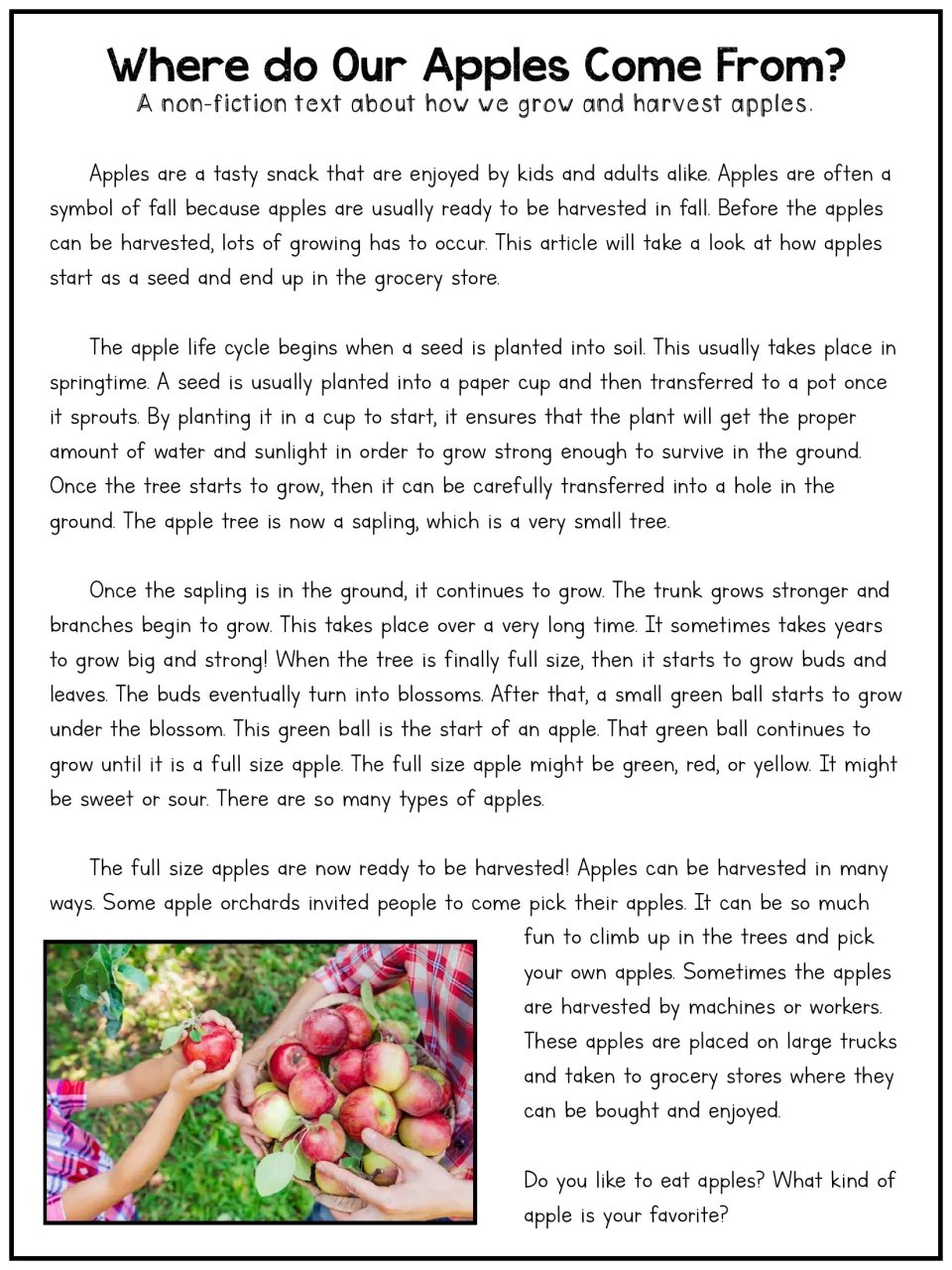 Apples article, longer version: students read the apple life cycle from seed and sapling to harvest and grocery store