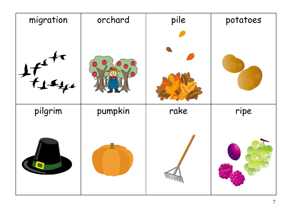 Picture word cards for migration, orchard, pile, potatoes, pilgrim, pumpkin, rake and ripe for labeling seasonal words