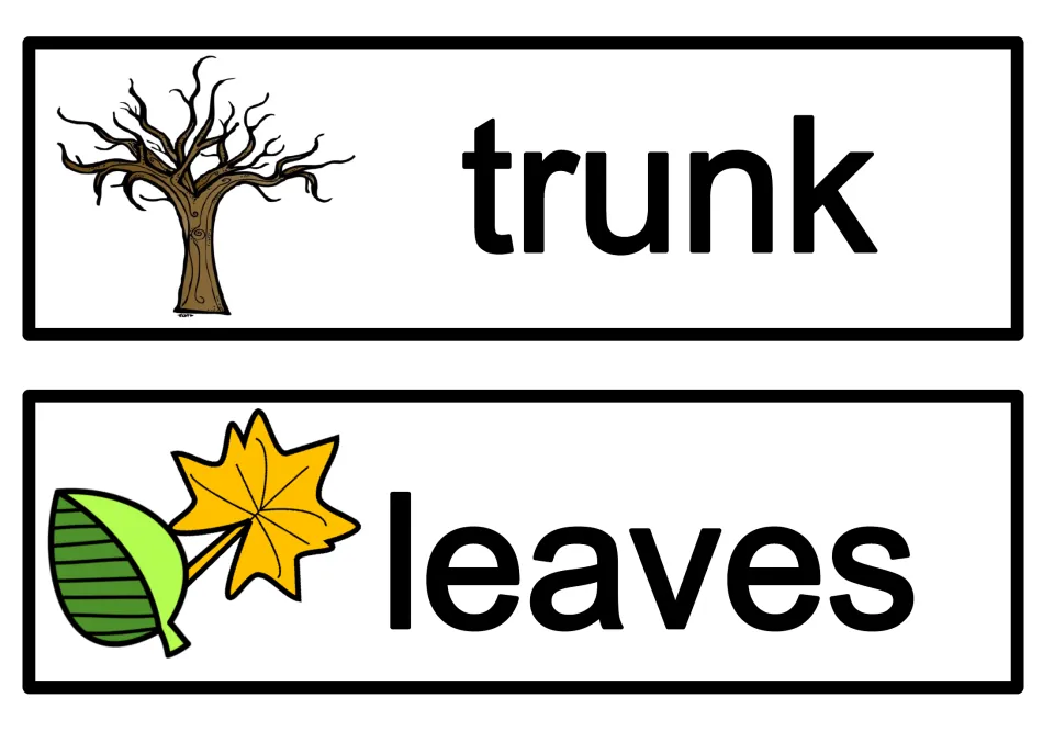 Fall vocabulary cards 7–8 of 10: trunk and leaves, illustrated by a bare tree and green and yellow leaves