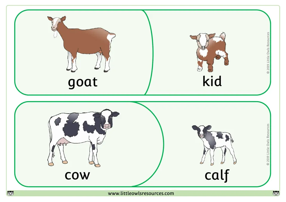 Animal babies matching puzzles: students join goat to kid and cow to calf, matching each adult picture to its young