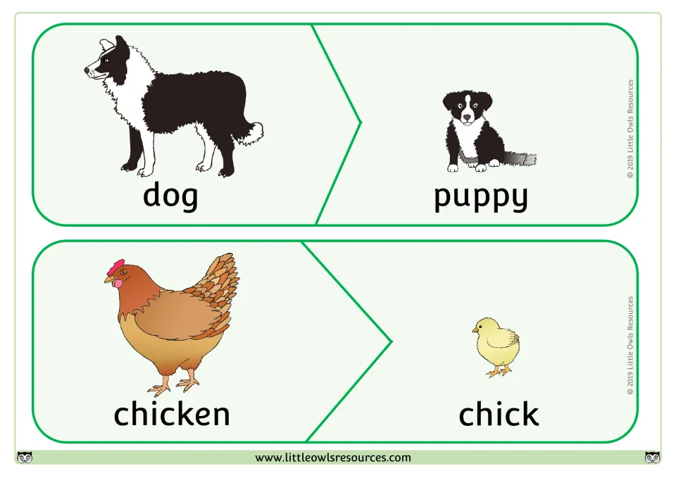Baby animal names puzzle: students pair the dog with its puppy and the chicken with its chick, each piece labeled