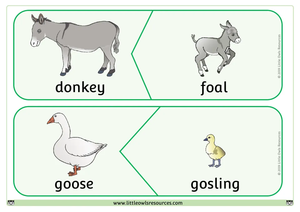 Adult and baby puzzle pairs: donkey matches its foal and goose matches its gosling, with a word under each picture