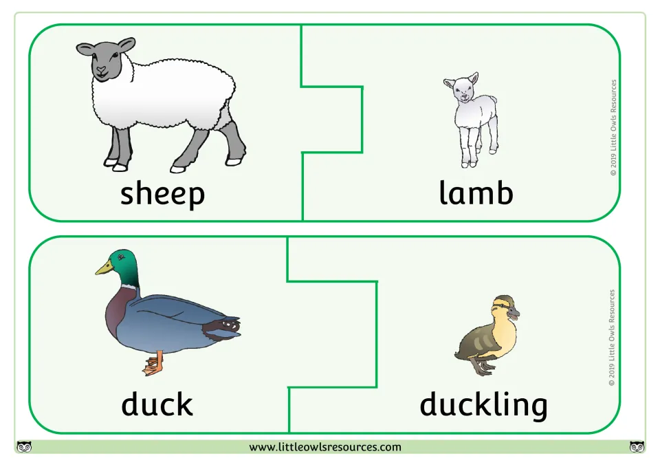 Two-piece animal puzzles: sheep joins lamb and duck joins duckling, so students match each parent picture to its baby