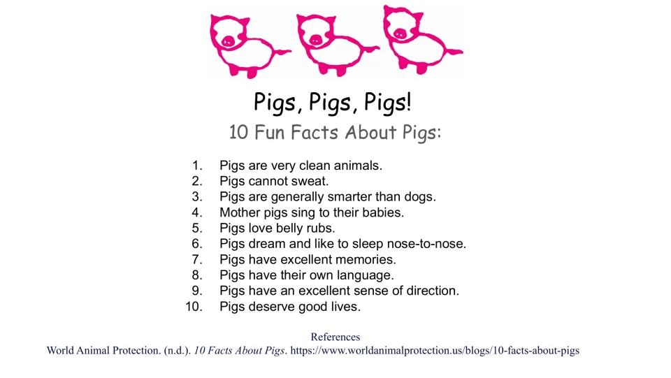 Pigs, Pigs, Pigs! slide listing 10 fun facts about pigs, such as mother pigs sing to their babies and pigs cannot sweat