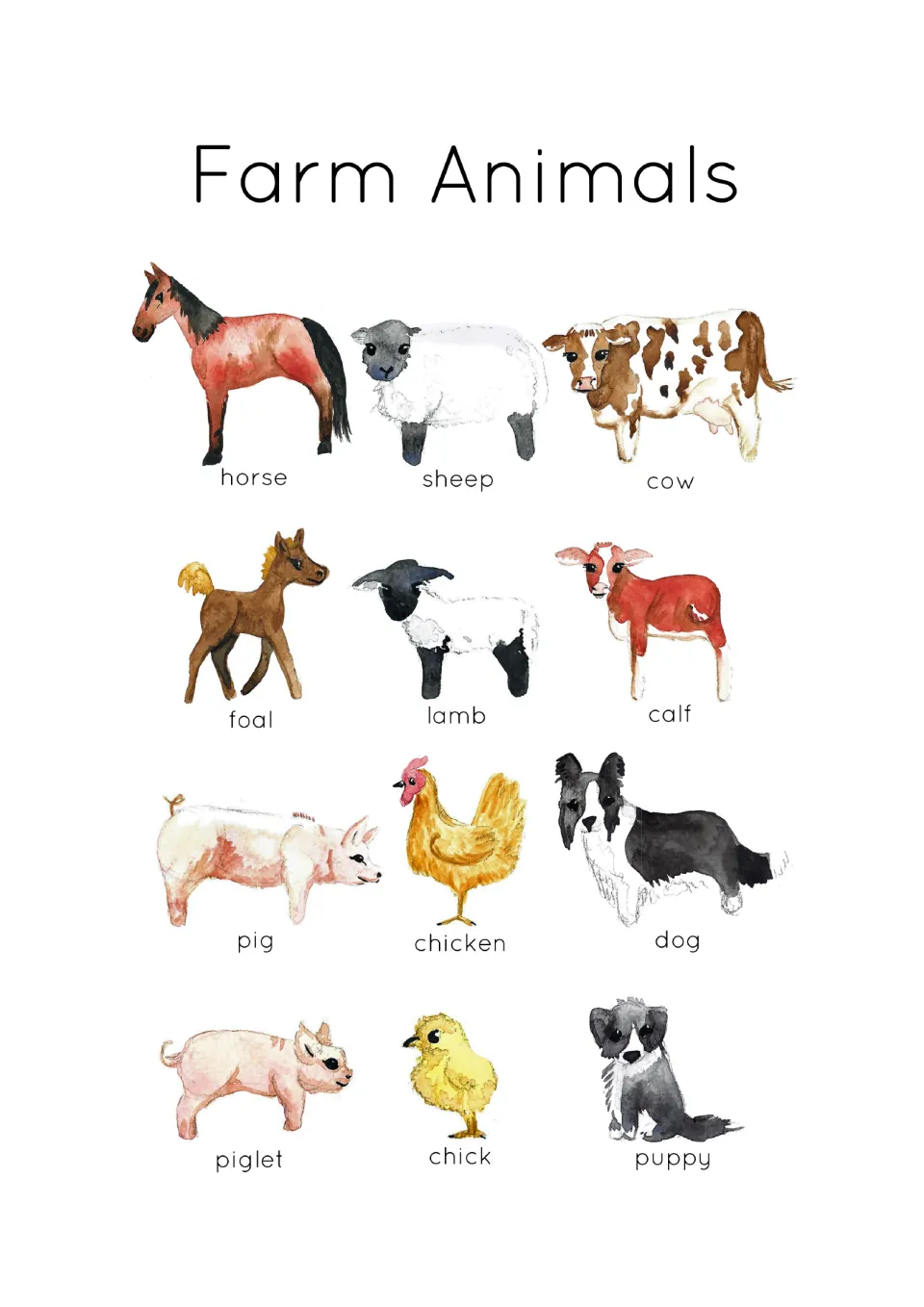 Farm animal overview showing 12 labeled animals, including horse, foal, sheep, lamb, cow, and calf