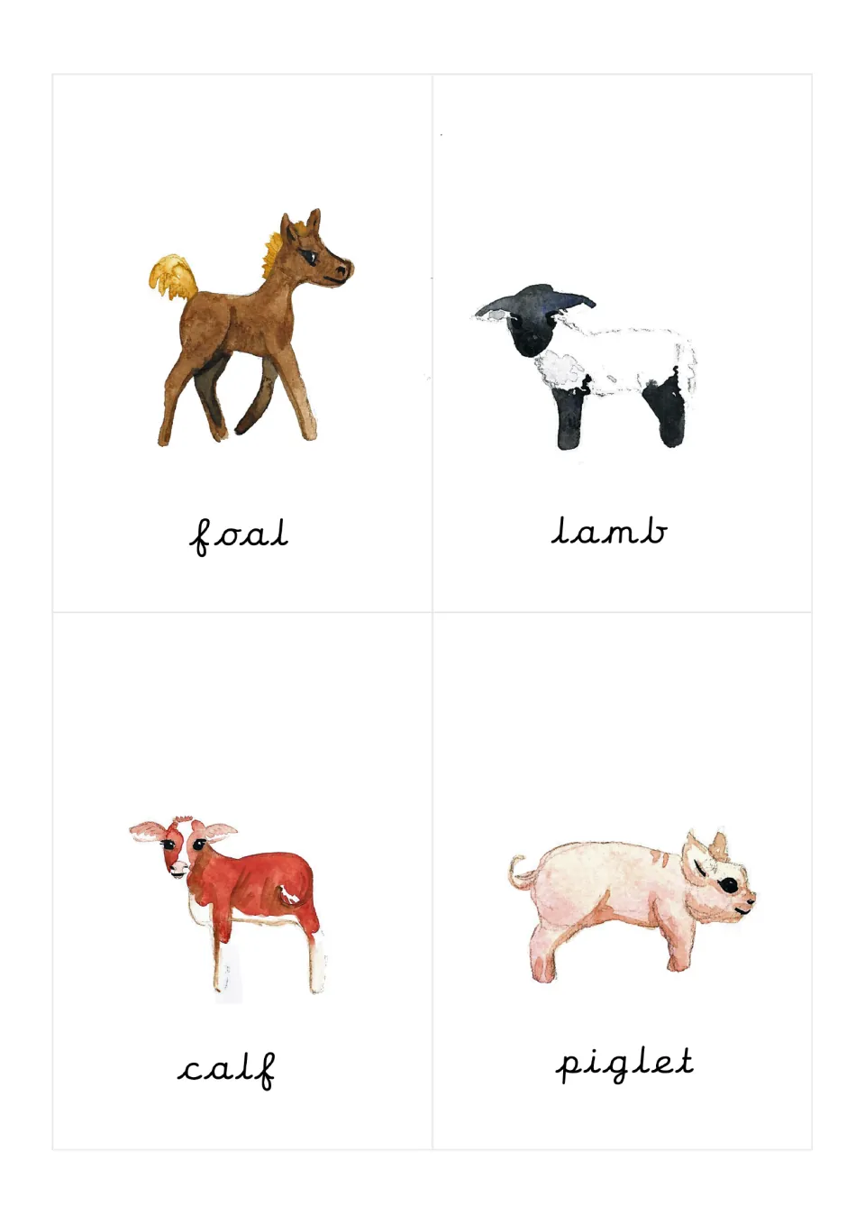 Farm animal flashcards 5–8: foal, lamb, calf, and piglet, with illustrations and pre-cursive labels