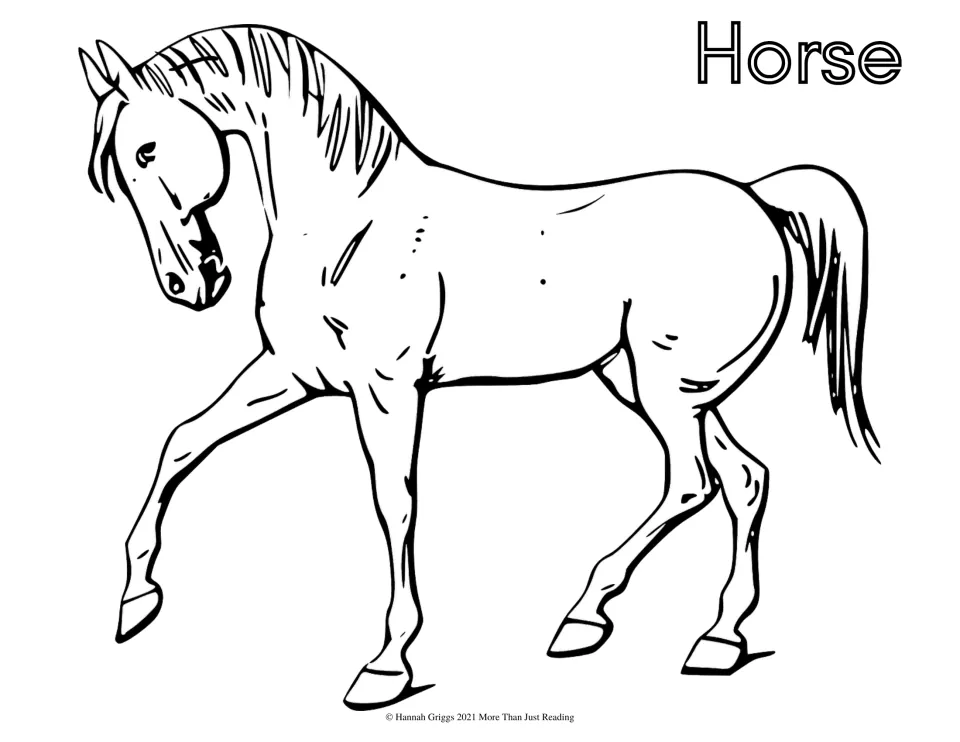 Horse coloring sheet: students color a walking horse with a flowing mane and tail and the bubble-letter word Horse