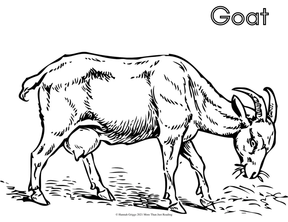 Goat coloring sheet: students color a horned goat grazing on hay and the bubble-letter word Goat written at the top