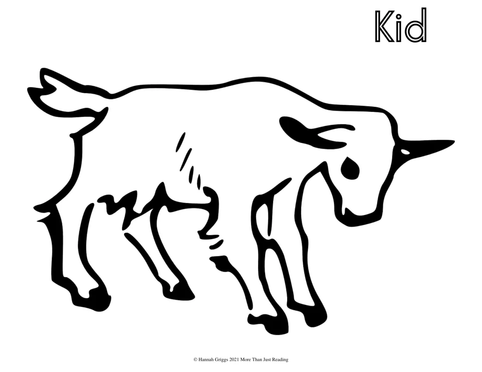 Kid coloring sheet: students color a bold outline of a baby goat and the bubble-letter word Kid, the name for a young goat