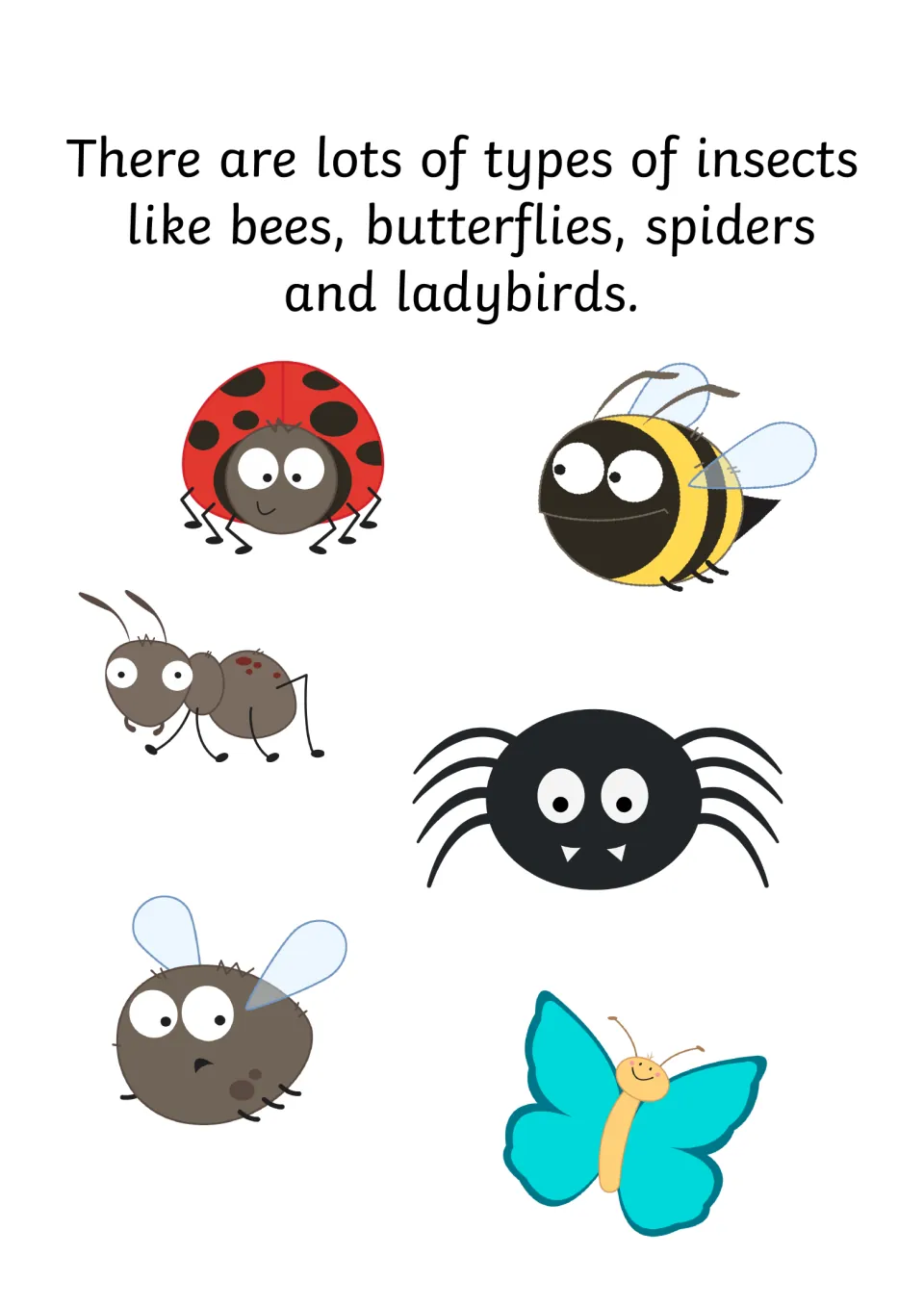 Social story page naming insect types like bees, butterflies, spiders and ladybirds beside cartoon bugs, an ant and a fly