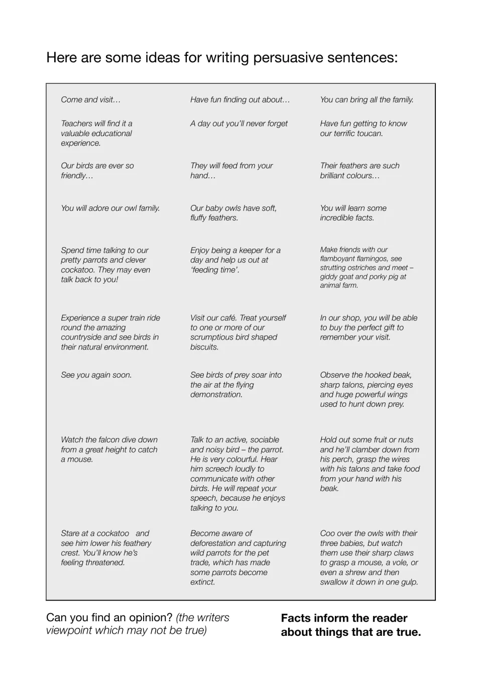 Persuasive sentence ideas about owls, parrots, falcons and a café; students spot opinions and tell them apart from facts