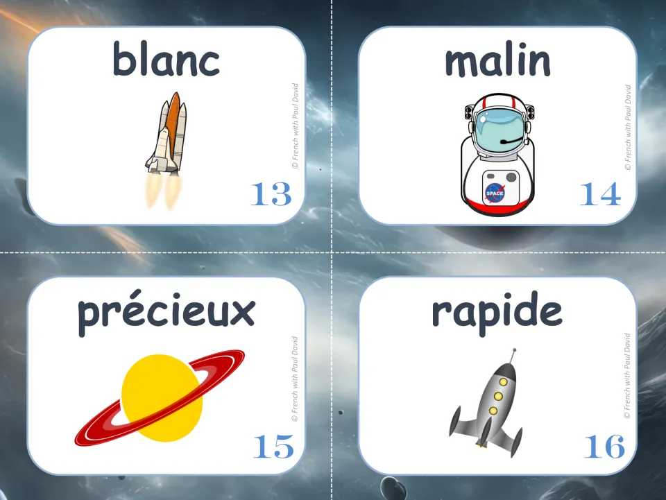 French feminine-form practice cards 13–16: blanc (white), malin (clever), précieux, and rapide (fast).