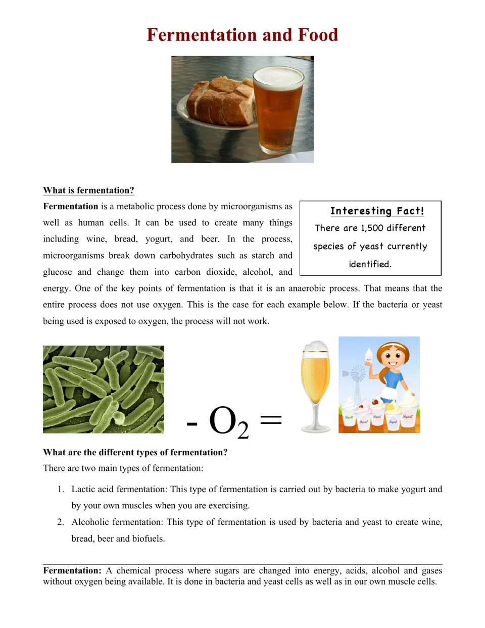 Fermentation basics: students read what fermentation is, why it is anaerobic, and its lactic acid and alcoholic types