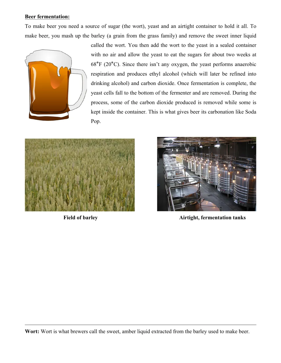 Beer fermentation: students read how yeast turns barley wort into alcohol and carbon dioxide in airtight tanks