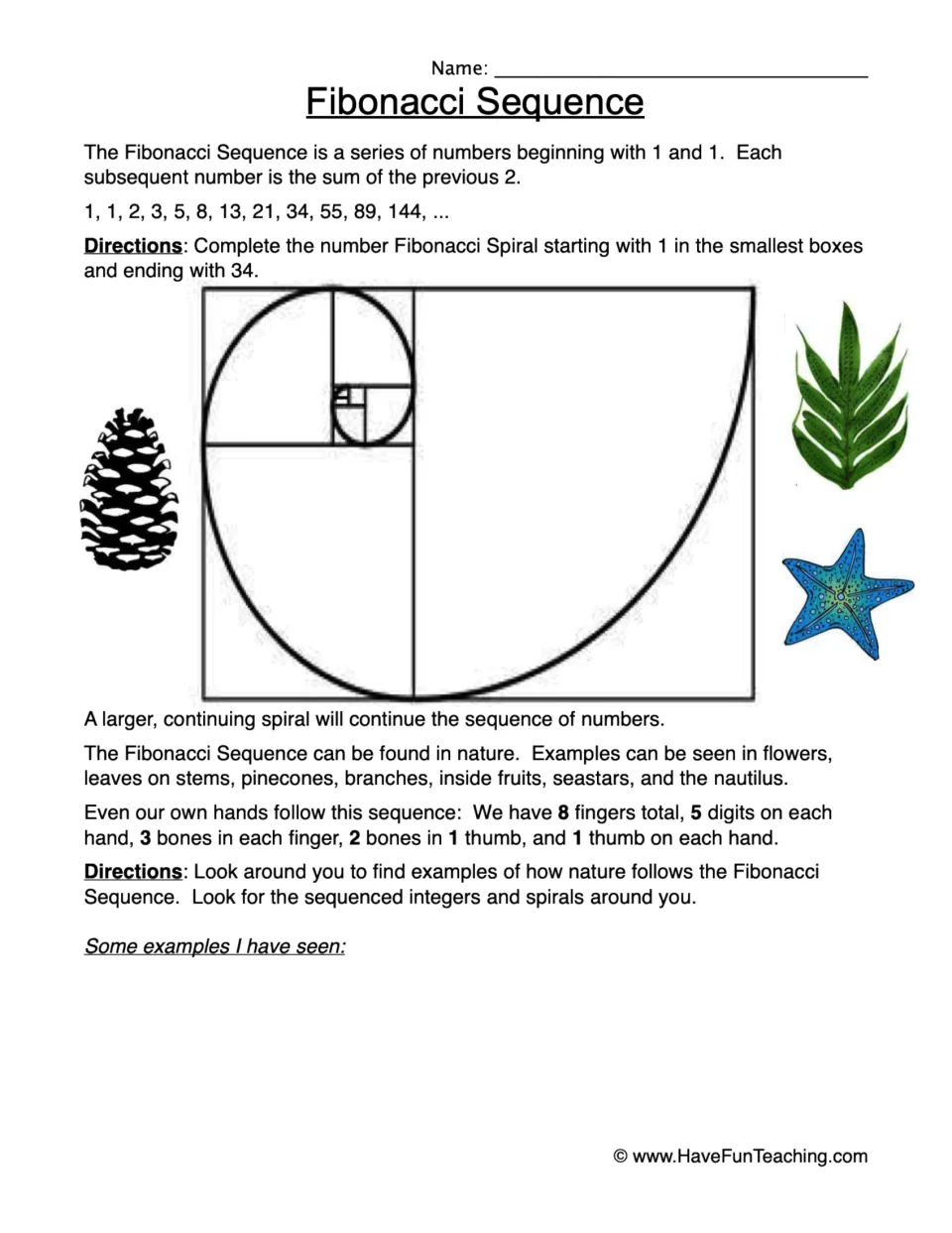Fibonacci sequence: students number a spiral from 1 up to 34, then list examples of the pattern they spot in nature
