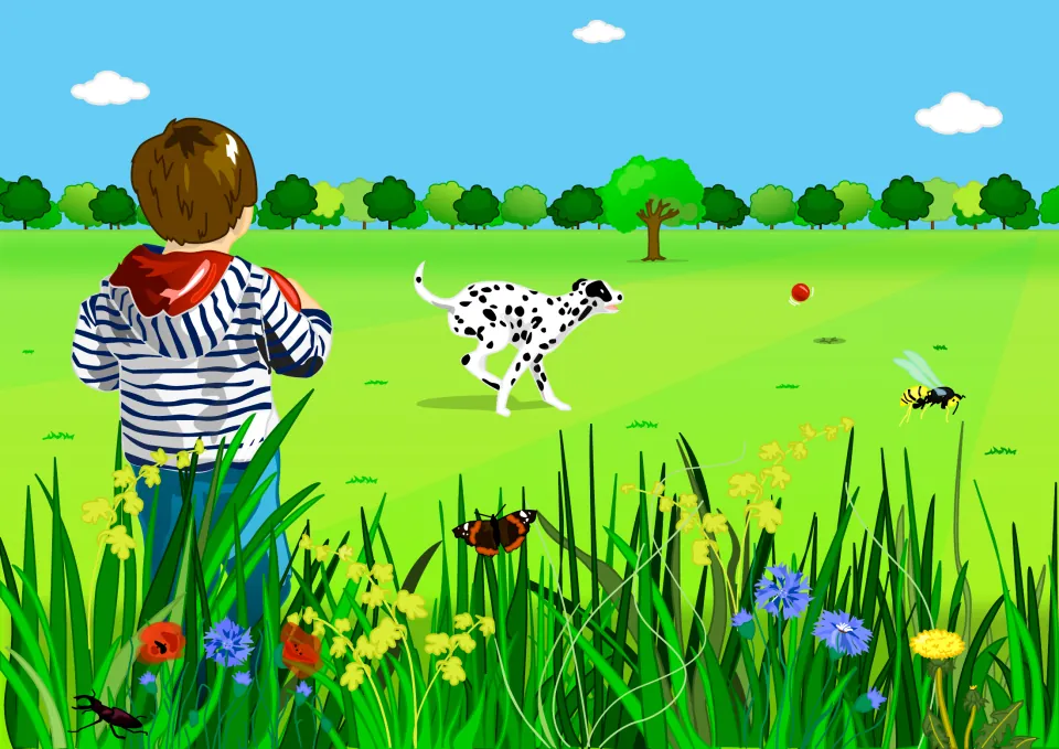 Story illustration: a boy in a striped hoodie watches his spotted dog chase a red ball across a meadow of wildflowers