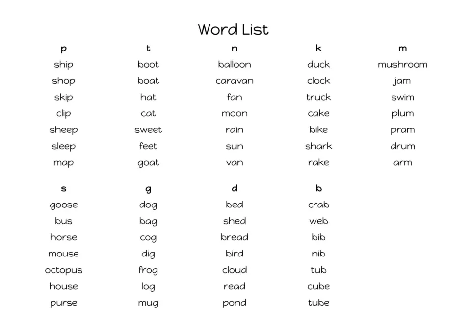 Word list of picture words grouped by final sound p, t, n, k, m, s, g, d and b, such as ship, boot, moon, duck and dog