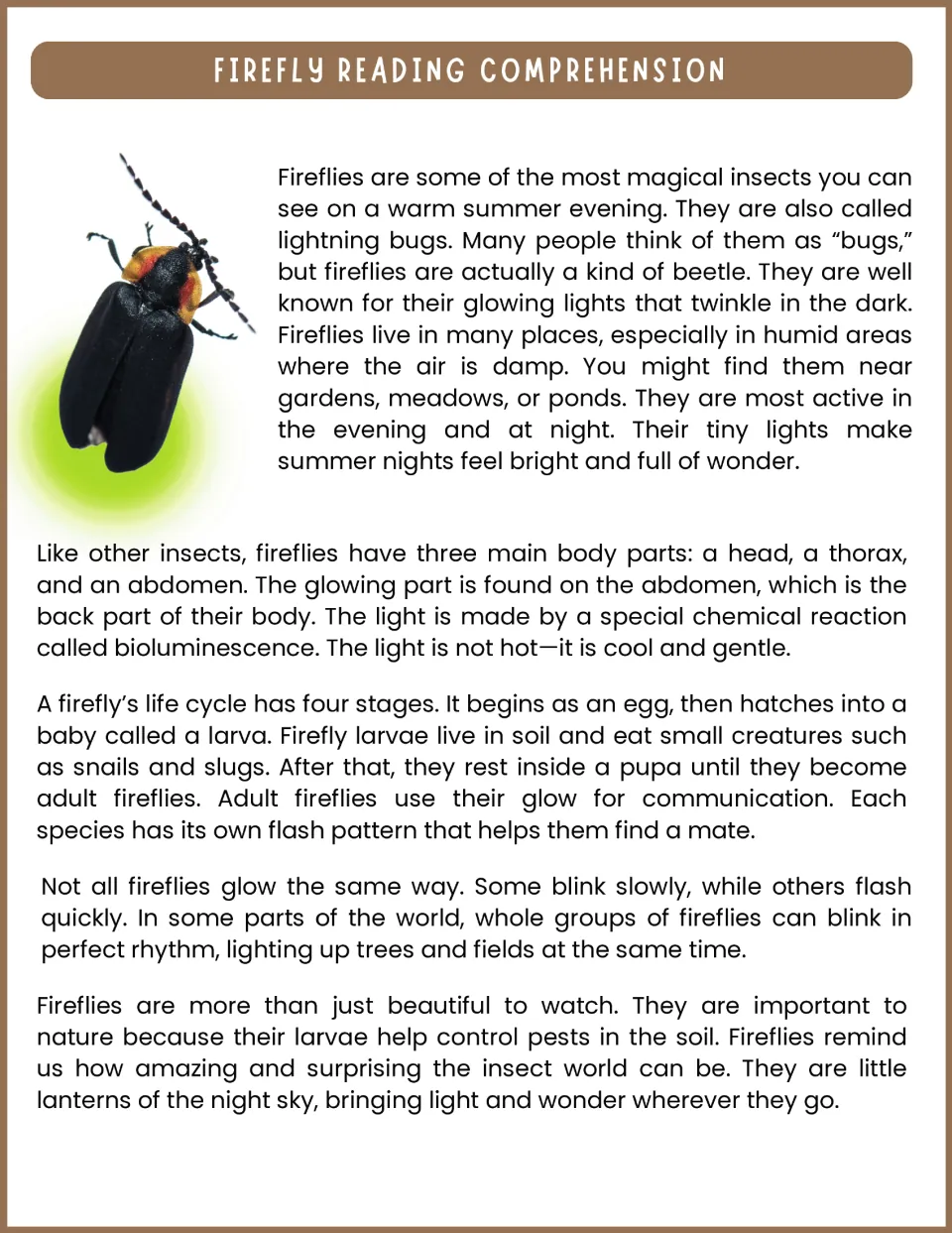 Firefly reading passage explaining habitats, body parts, bioluminescence, life stages, and flash patterns