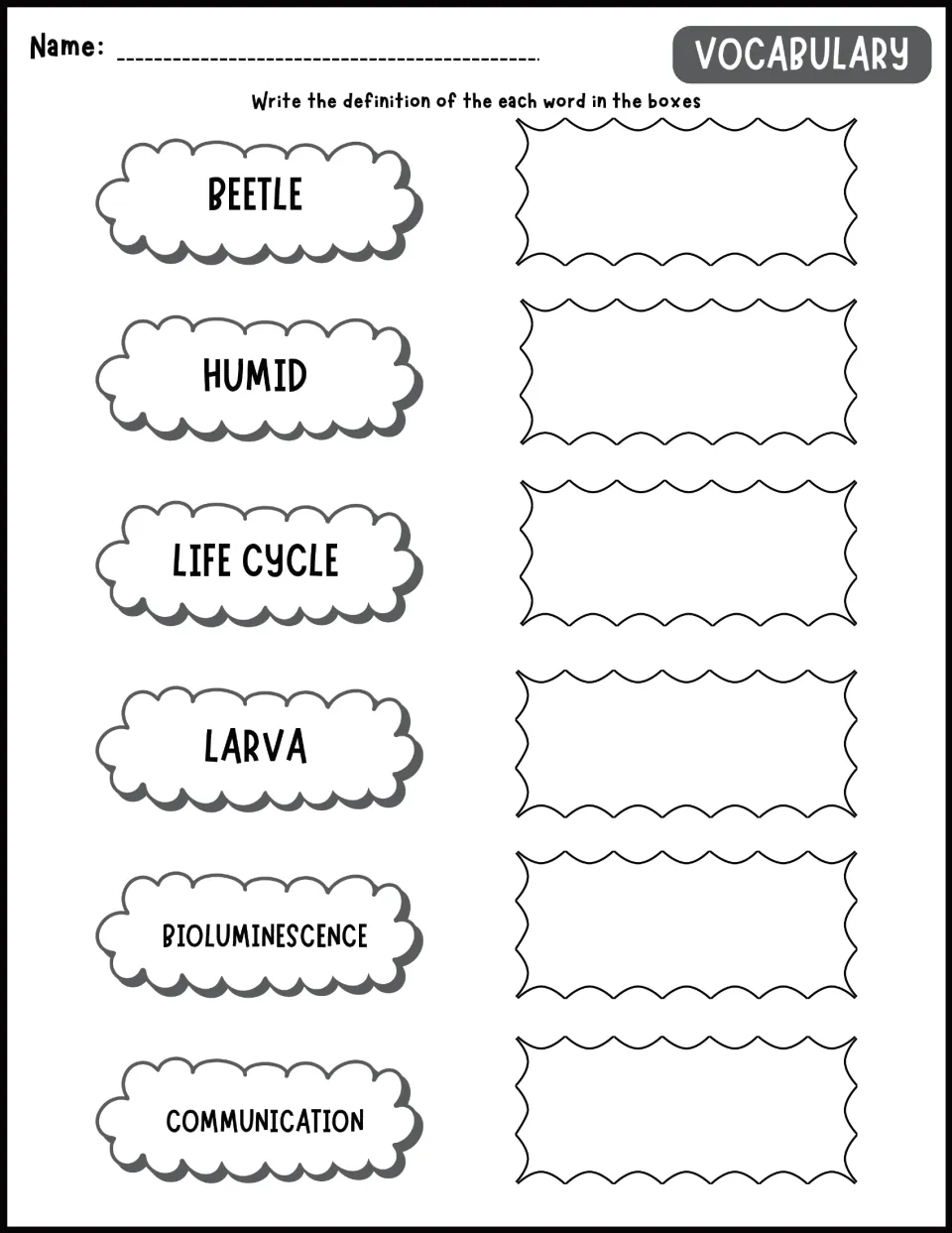 Firefly vocabulary activity: define beetle, humid, life cycle, larva, bioluminescence, and communication