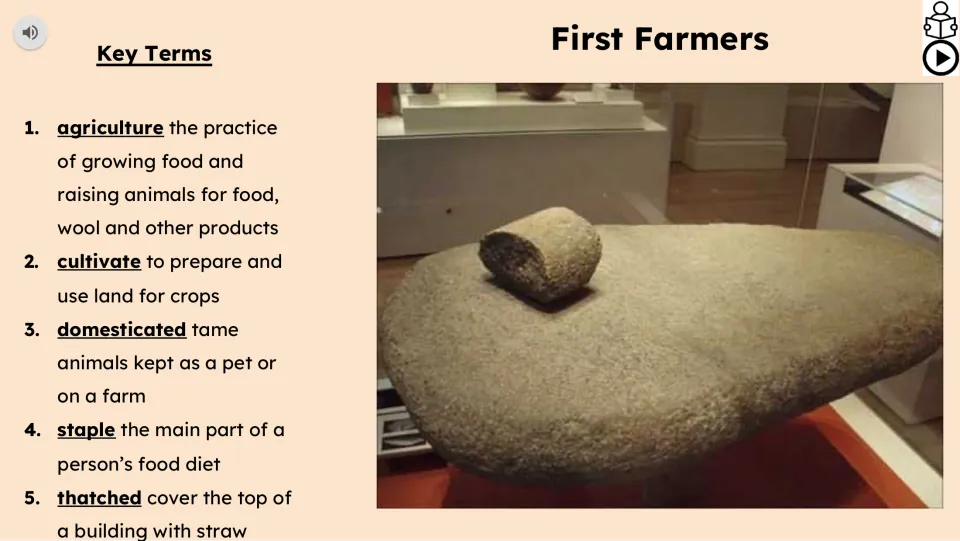 Vocabulary and video slide defines agriculture, cultivate, domesticated, staple, and thatched.