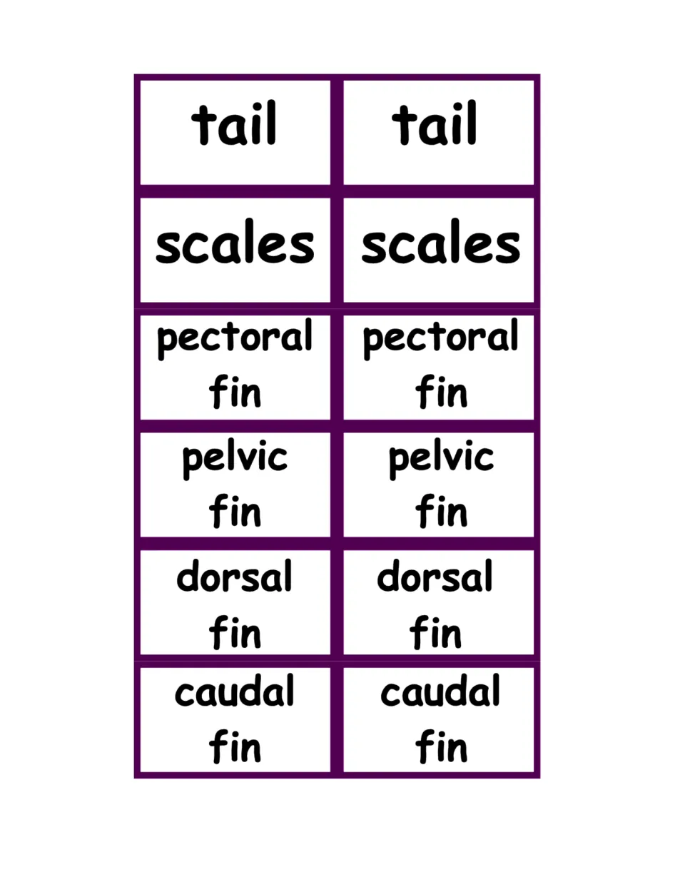 Advanced fish part word cards in pairs: tail, scales, pectoral fin, pelvic fin, dorsal fin and caudal fin to cut out