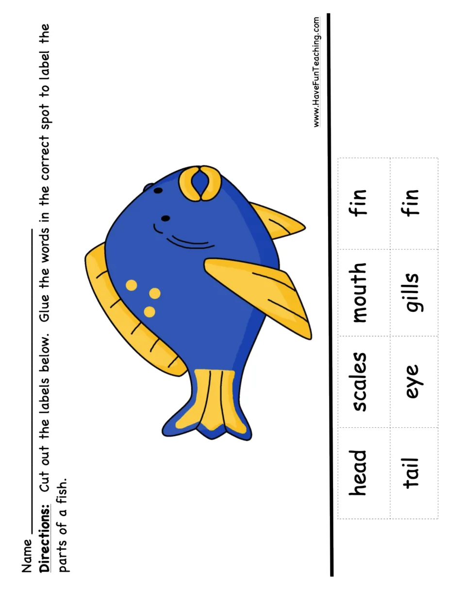Label the parts of a fish: students cut out head, scales, mouth, fin, tail, eye and gills labels and glue each in place