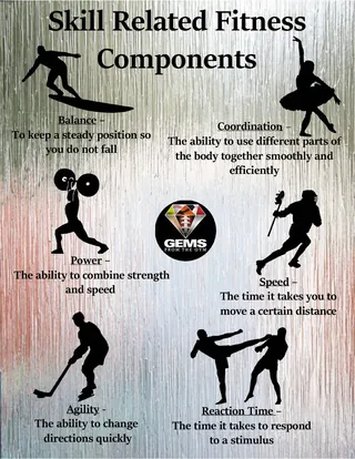 Fitness Components Poster Pack – PE Visuals – sample page 3