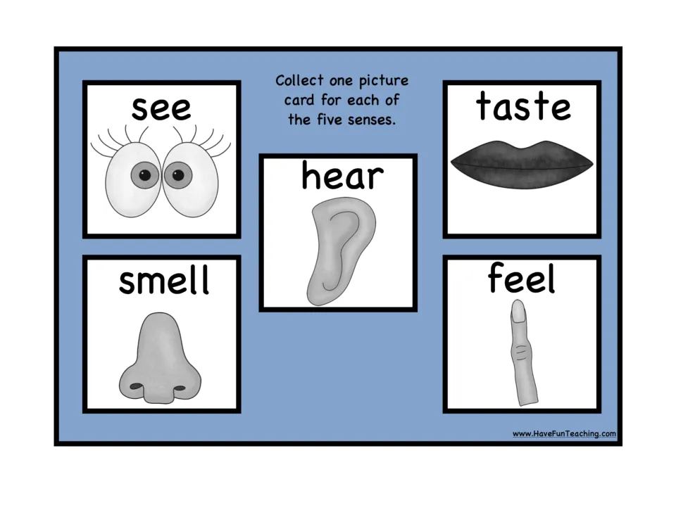 First five senses collection mat: see, hear, taste, smell, and feel, each illustrated with a body part.