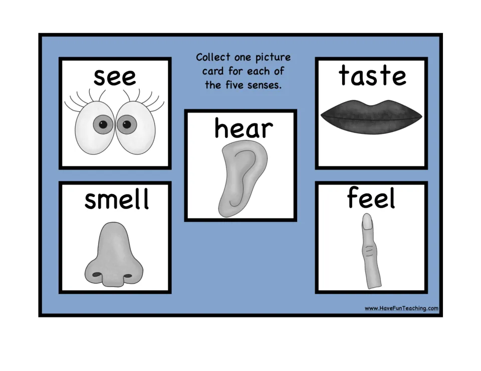 Second five senses collection mat: see, hear, taste, smell, and feel, each illustrated with a body part.