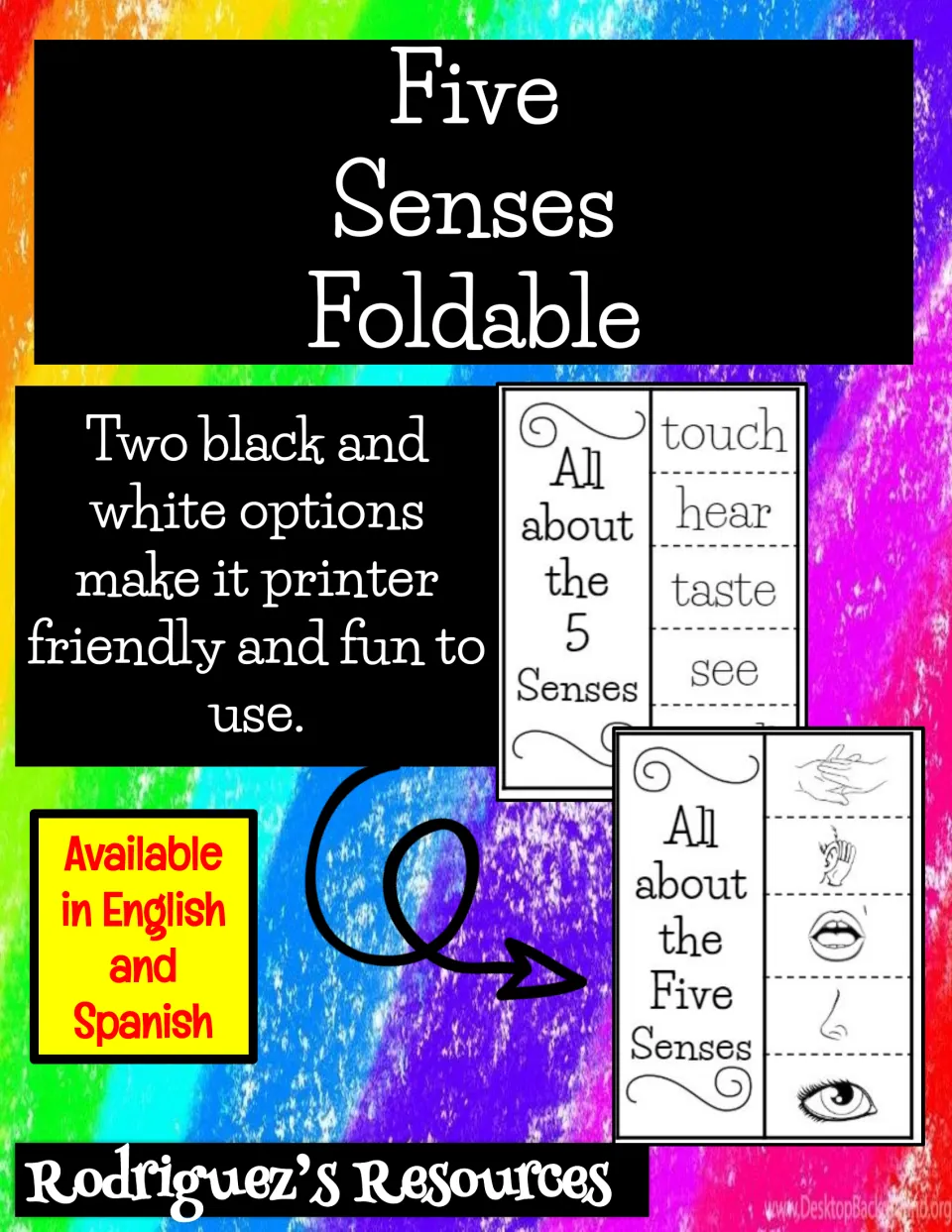 Five senses foldable cover: English and Spanish versions in two black-and-white options, word flaps or picture flaps