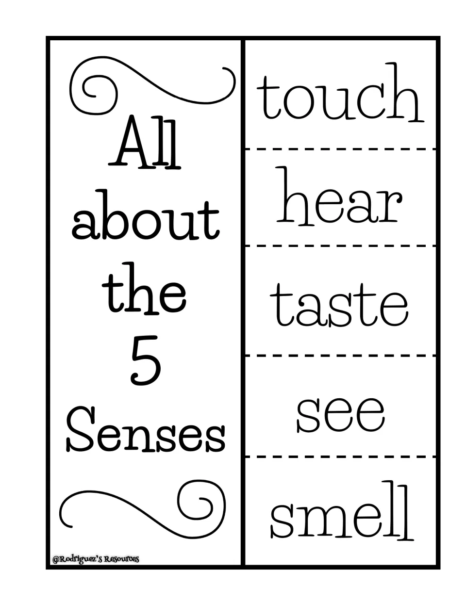 Sense vocabulary in English: students fold All about the 5 Senses flaps labeled touch, hear, taste, see and smell