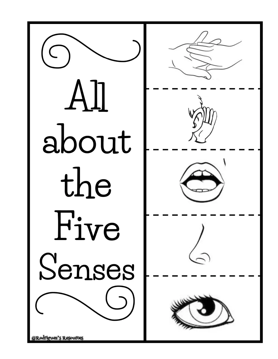 Senses with pictures: students fold All about the Five Senses flaps showing hands, an ear, a mouth, a nose and an eye