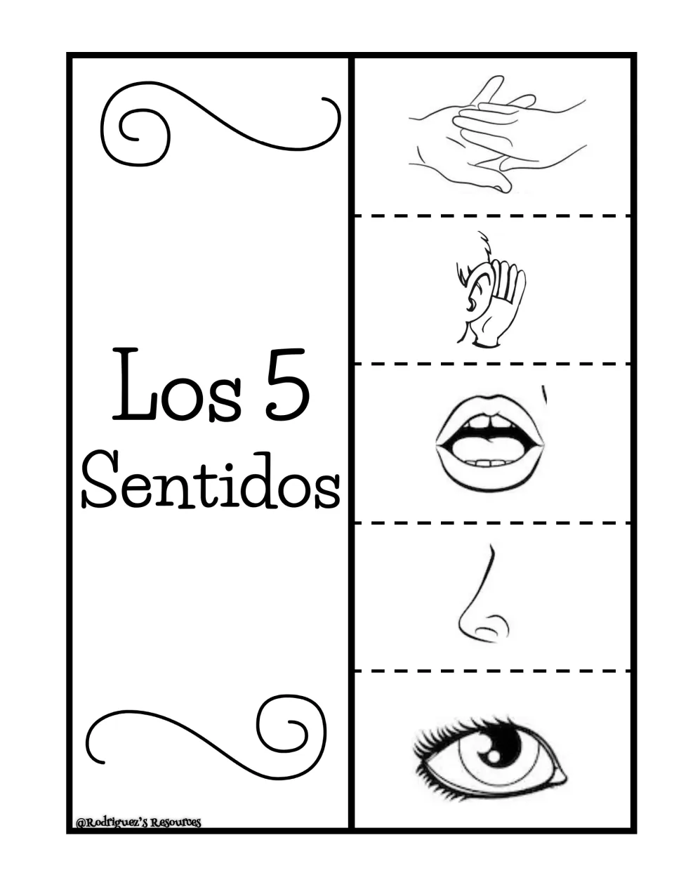 Spanish senses with pictures: students fold Los 5 Sentidos flaps showing hands, an ear, a mouth, a nose and an eye