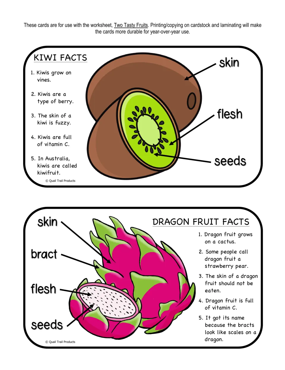 Kiwi and dragon fruit fact cards with five facts each and diagrams labeling skin, flesh, seeds and the dragon fruit bract