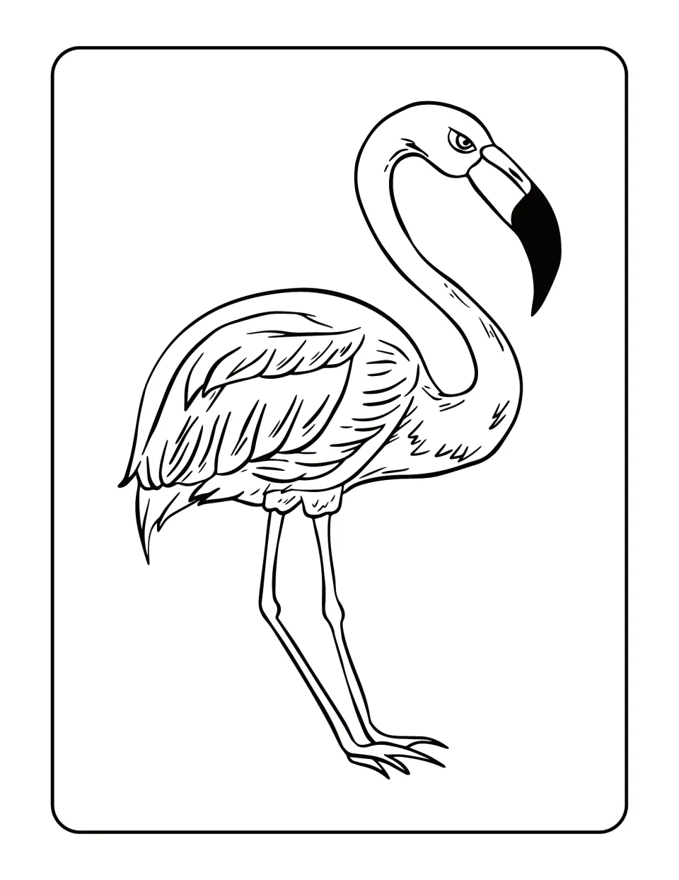 Sketch-style flamingo to color with shaded feather strokes, a black-tipped bent beak and long legs, standing upright
