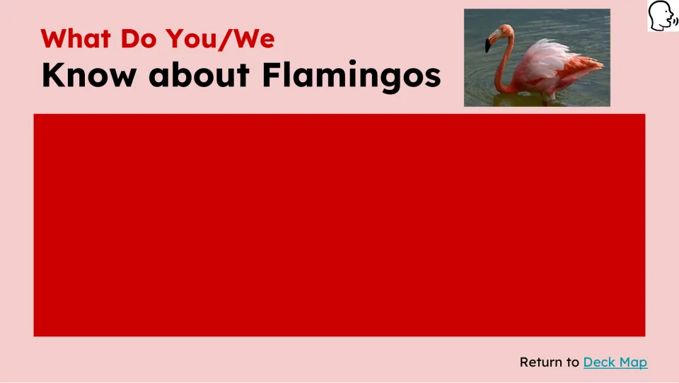 Prior-knowledge slide asks 'What Do You/We Know about Flamingos' and provides space for student responses
