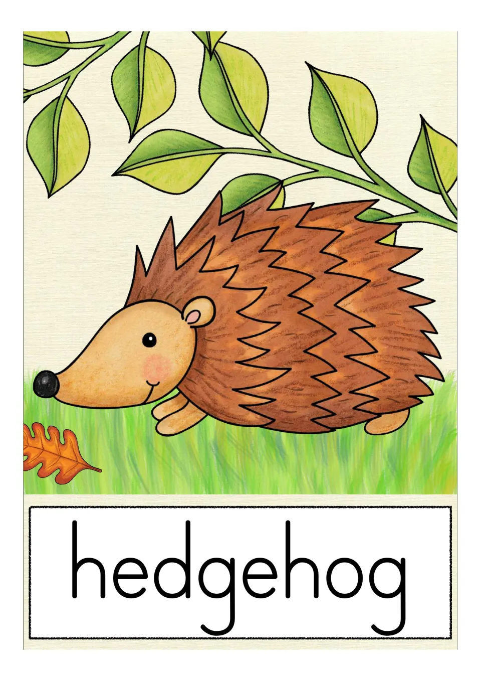 Vocabulary card for hedgehog: a brown spiny animal walks through grass under green leaves, its name printed below