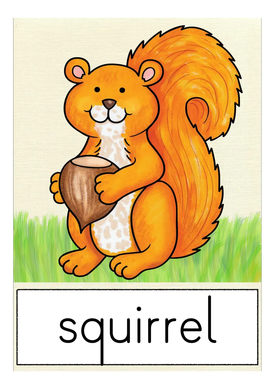 Vocabulary card for squirrel: an orange animal with a bushy tail holds a hazelnut, its name printed beneath