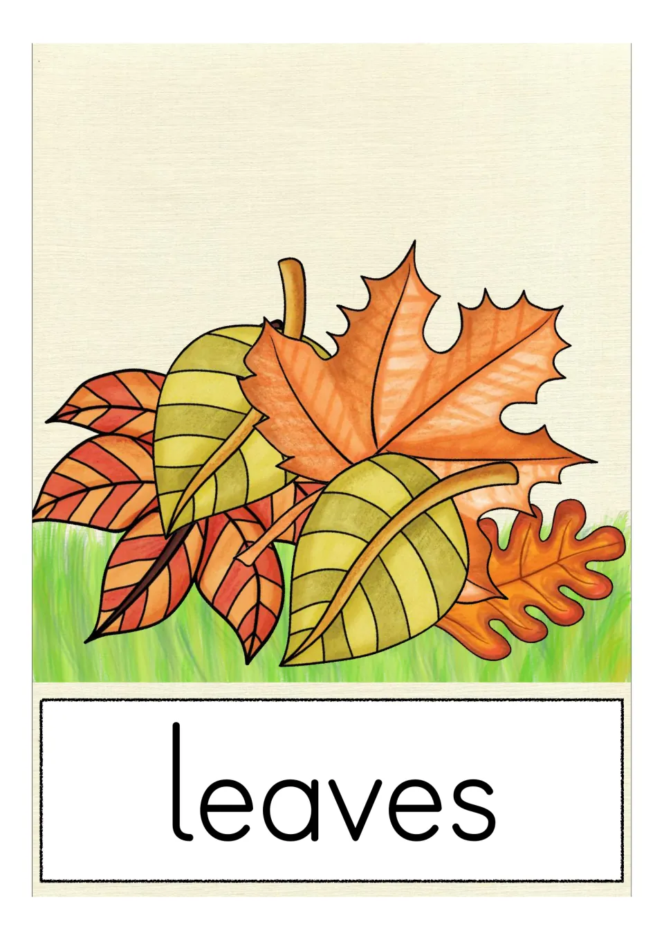 Vocabulary card for leaves: a pile of orange, red and yellow-green maple and oak foliage resting on grass